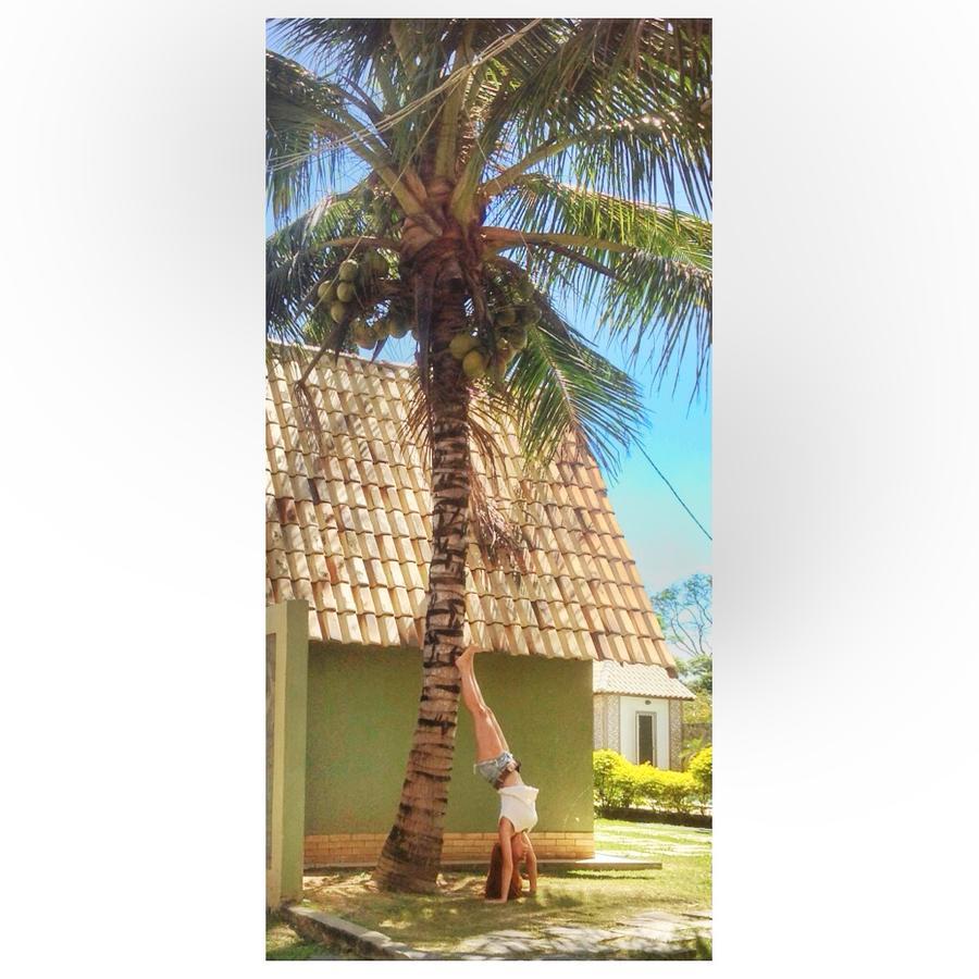Hotel Pousada Dos Chales Campos dos Goytacazes Eksteriør bilde